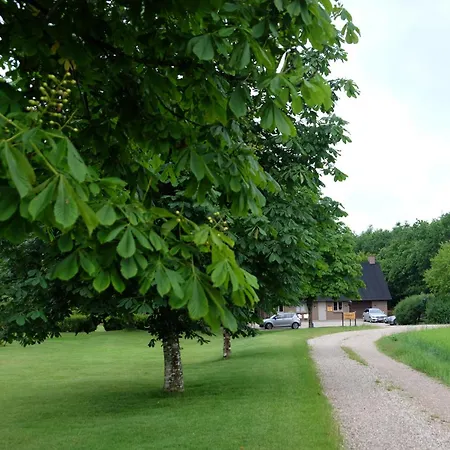 Billund Rooms *