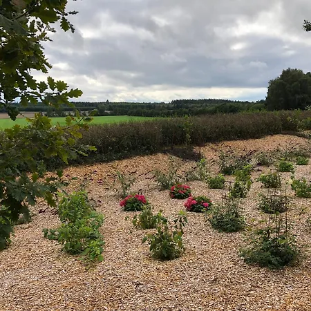 Billund Rooms Διαμέρισμα *