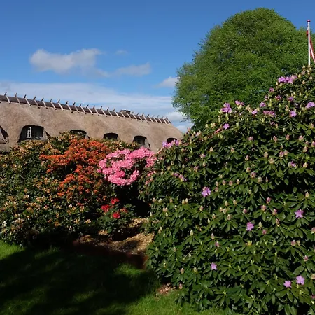 Billund Rooms Lägenhet *