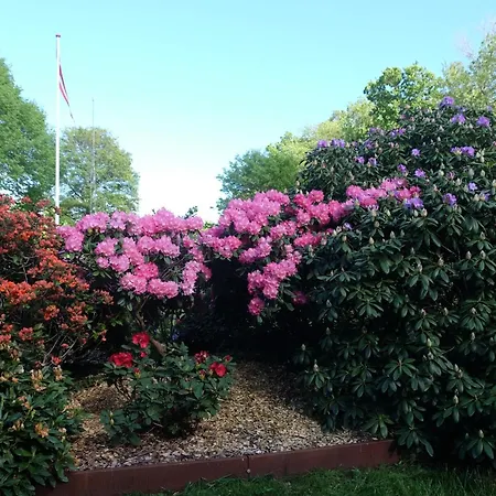 Billund Rooms Διαμέρισμα Billund