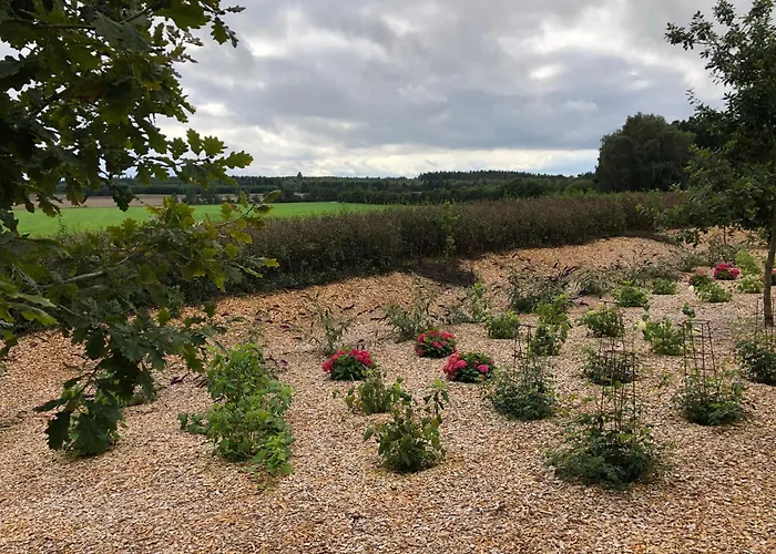 Billund Rooms Apartman *