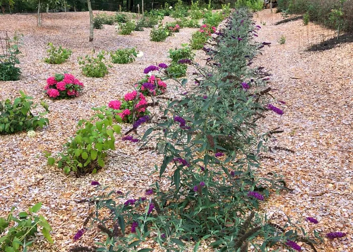 Billund Rooms Billund