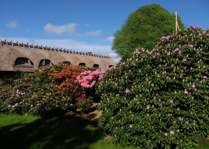 Billund Rooms Apartman *