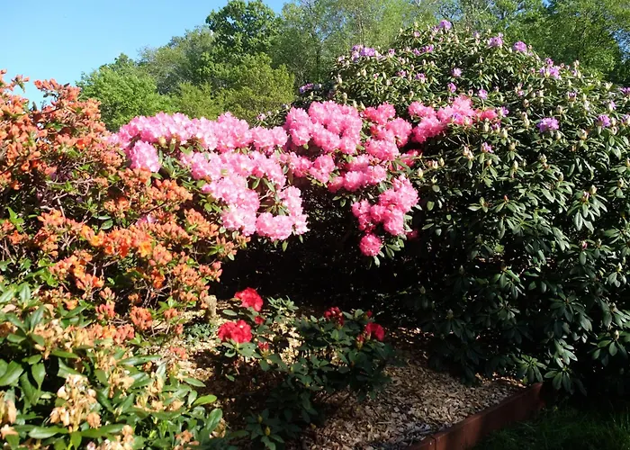 Apartman Billund Rooms *